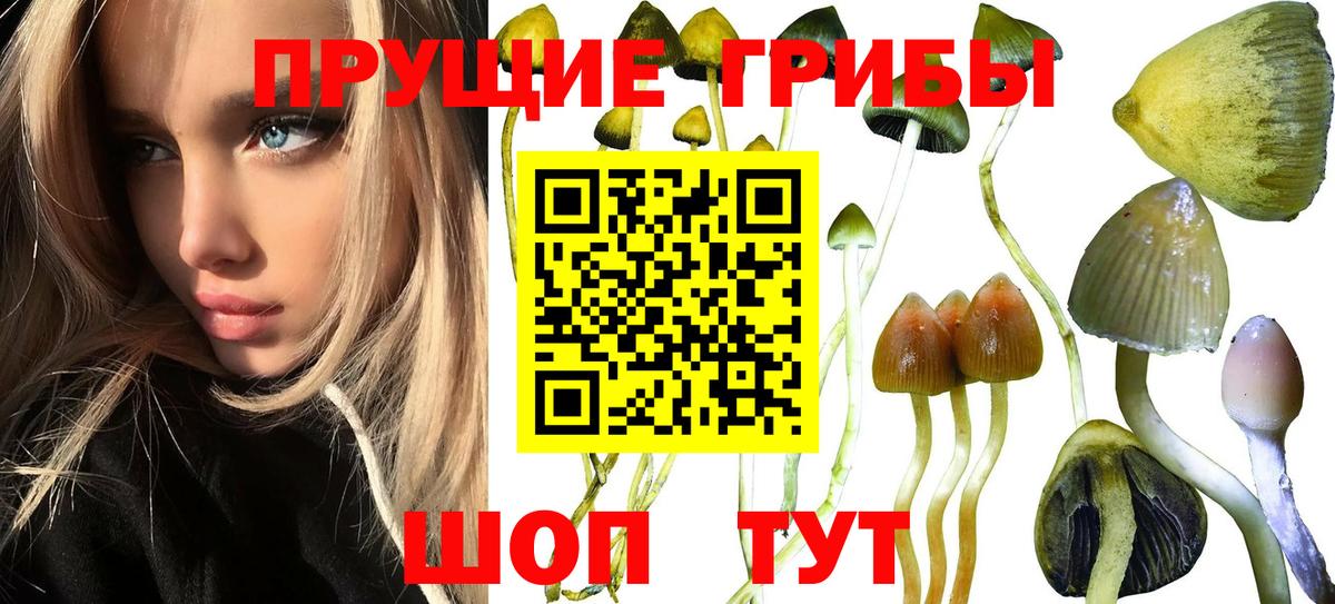 Псилоцибиновые грибы мухоморы Балашов